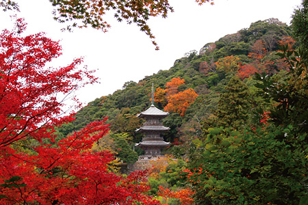 紅葉と清水寺