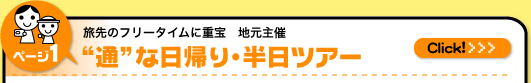 通な日帰り・半日ツアー