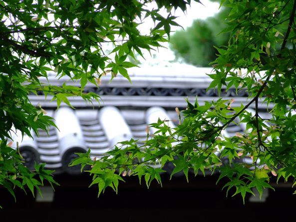 庭園