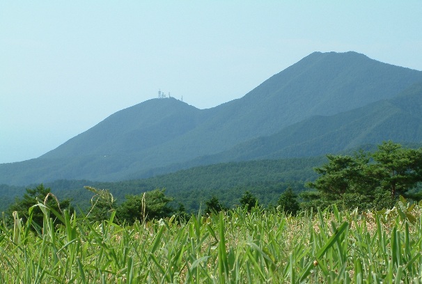 高麗山