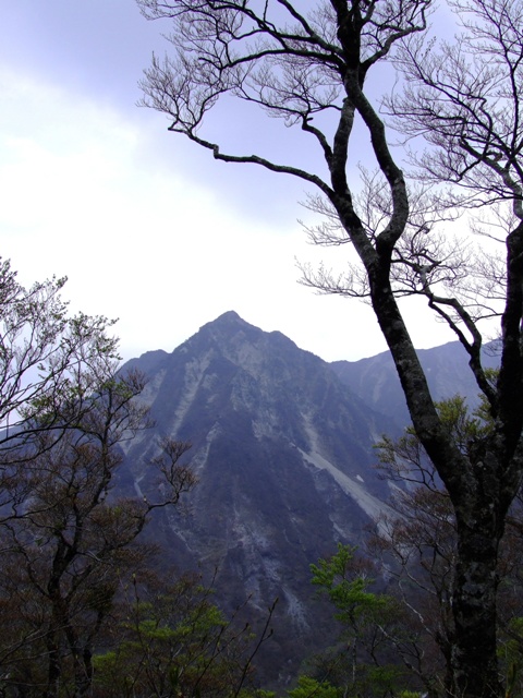 三鈷峰