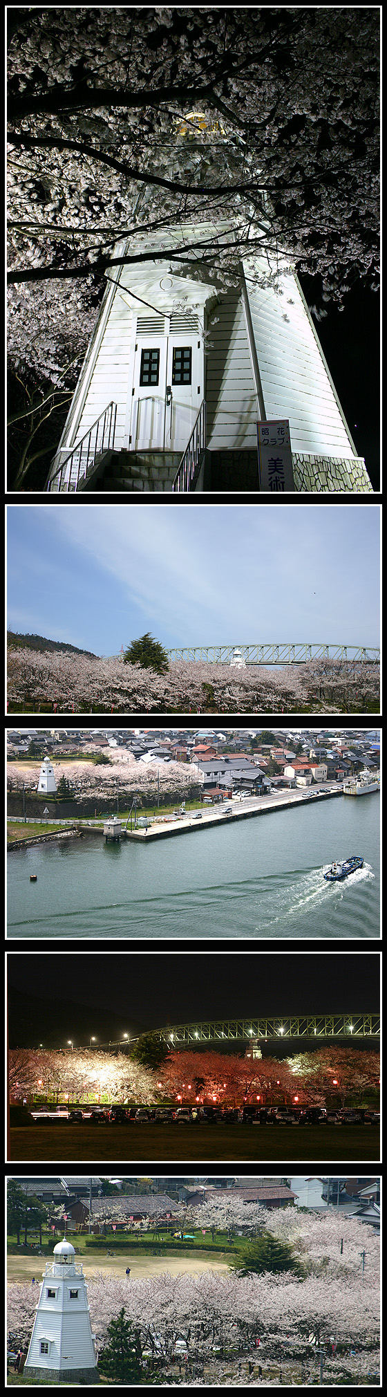 E勴