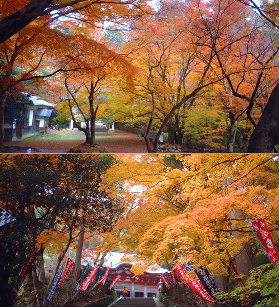 鰐淵寺